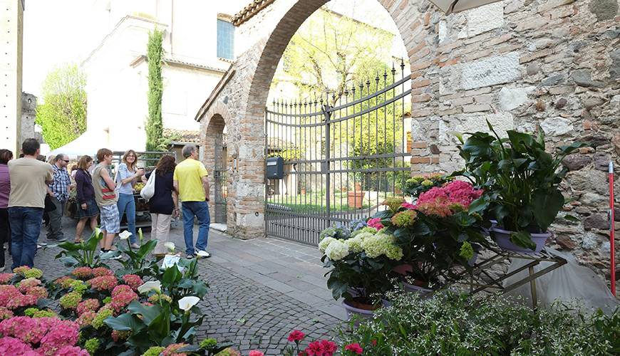 I Fiori Di Castellaro Lagusello Terre Dell Alto Mantovano