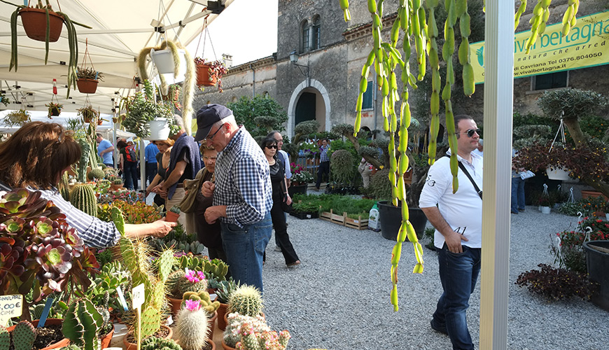 I Fiori Di Castellaro Lagusello Terre Dell Alto Mantovano