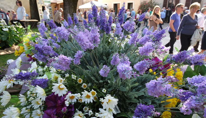 I Fiori Di Castellaro Lagusello Terre Dell Alto Mantovano