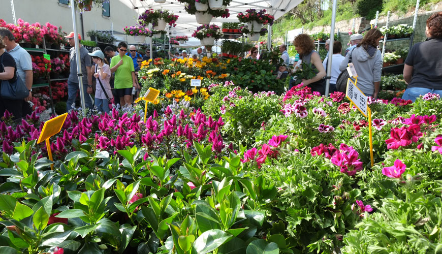 I Fiori Di Castellaro Lagusello Terre Dell Alto Mantovano