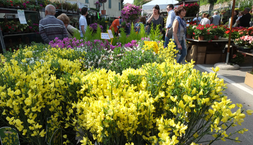 I Fiori Di Castellaro Lagusello Terre Dell Alto Mantovano