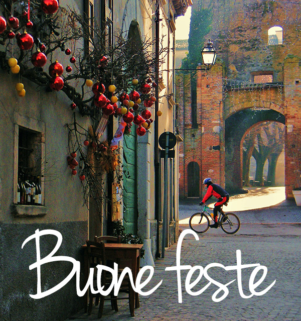 Buon-e-feste-da-Terre-dell'Alto-Mantovano-2015