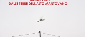 BUONE FESTE